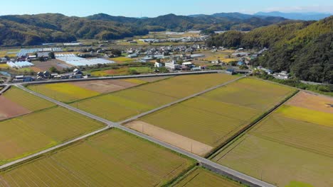 Flug-über-Ackerland-Und-Ein-Kleines-Dorf-Mit-Gewächshäusern-In-Japanischer-Landschaft