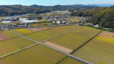 flying over farmland and a small village with greenhouses in japanese countryside