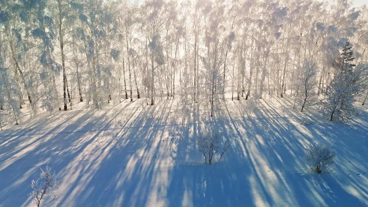 Snowy Winter Landscape with Frost-Covered Trees