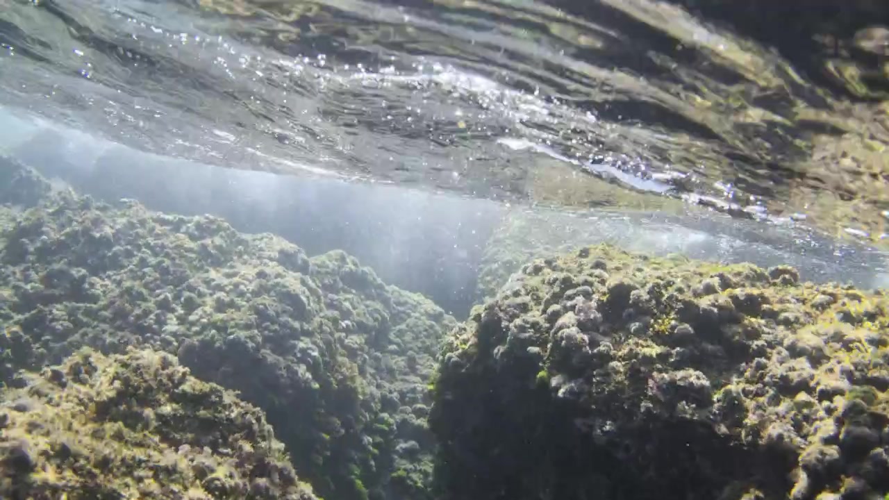 Underwater view of rocky seabed with marine growth, sunlight reflections on the water surface creating bubbles
