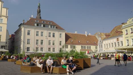exploring tallinn's town hall square: a summer day in the estonian capital