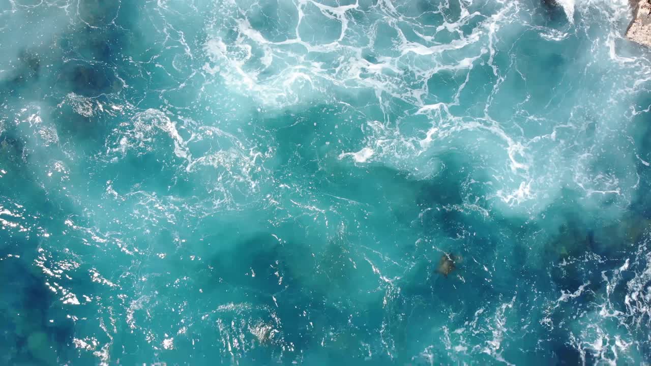 거북이는 해안 절벽 근처의 파도 속에서 헤엄친다.