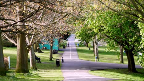 Pathway-in-local-field-with-clean-white-lines