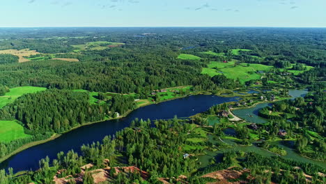 Calm-Lake-Surrounded-With-Lush-Green-Foliage-On-Sunny-Day