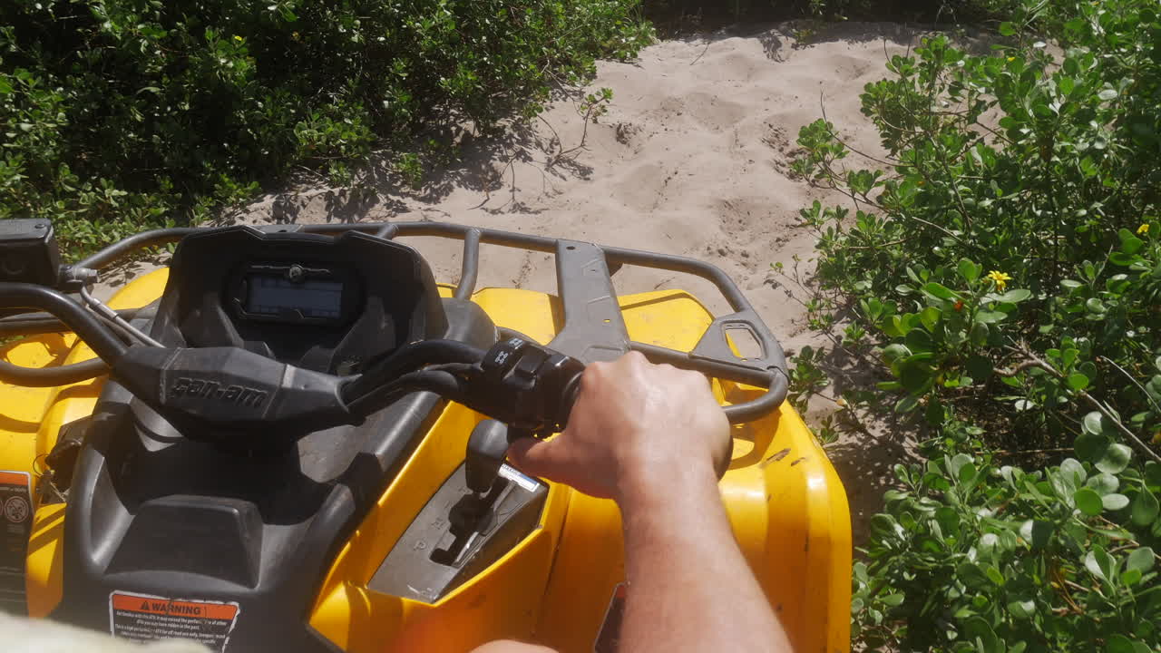 Vista del passeggero dietro il conducente su un quad ATV che guida su una pista sabbiosa tra la vegetazione