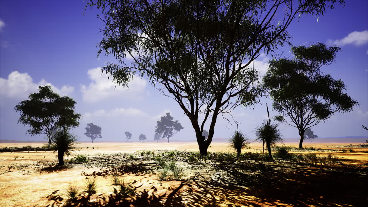 paisaje desértico con árboles esparcidos bajo un cielo azul brillante a la luz del día