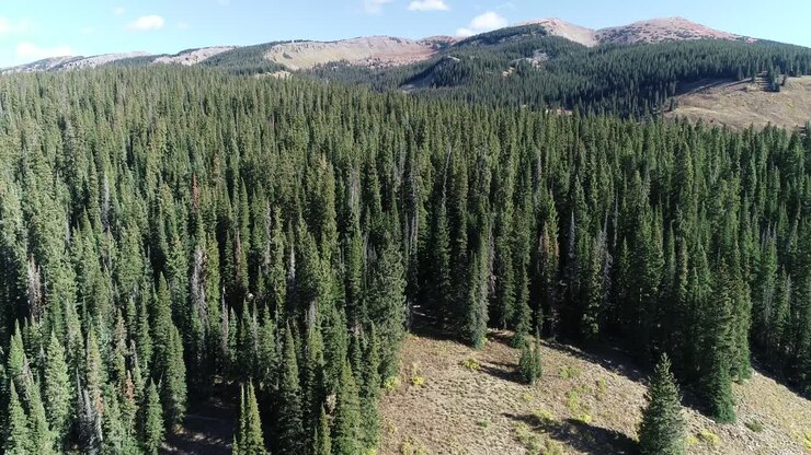 Cime montuose del Colorado vicino a Crested Butte