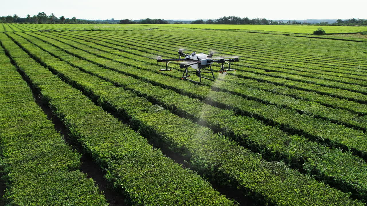 dji agras t30 drone rociando pesticidas en un campo