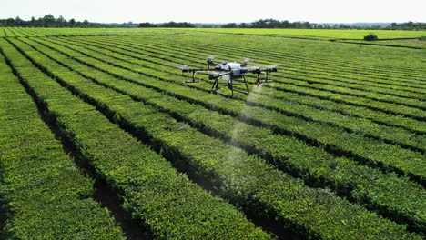 dji agras t30 drone spraying pesticide on a field