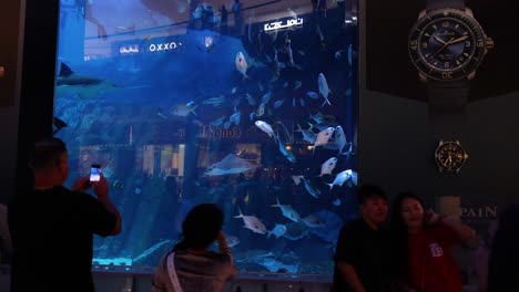 people enjoying the underwater zoo in dubai