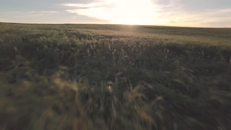 Vista-En-Movimiento-De-Drones-De-Interminables-Campos-Verdes