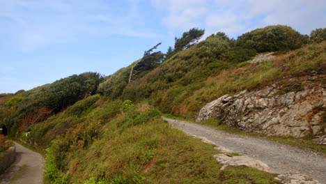 Plano-Amplio-De-Vegetación-Y-árboles-Que-Crecen-En-ángulo-Por-El-Viento-En-Bessy&#39;s-Cove,-The-Enys,-Cornwall.