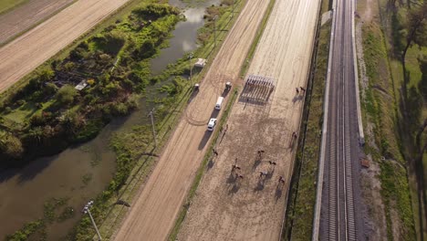 una toma dinámica en órbita de caballos andantes montados por jinetes en el hipódromo argentino de palermo hipódromo ubicado en buenos aires, argentina