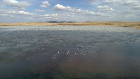 über-Dem-Frühlingssee-Schwebend