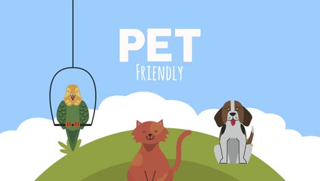 cat with dog and parrot pets animation