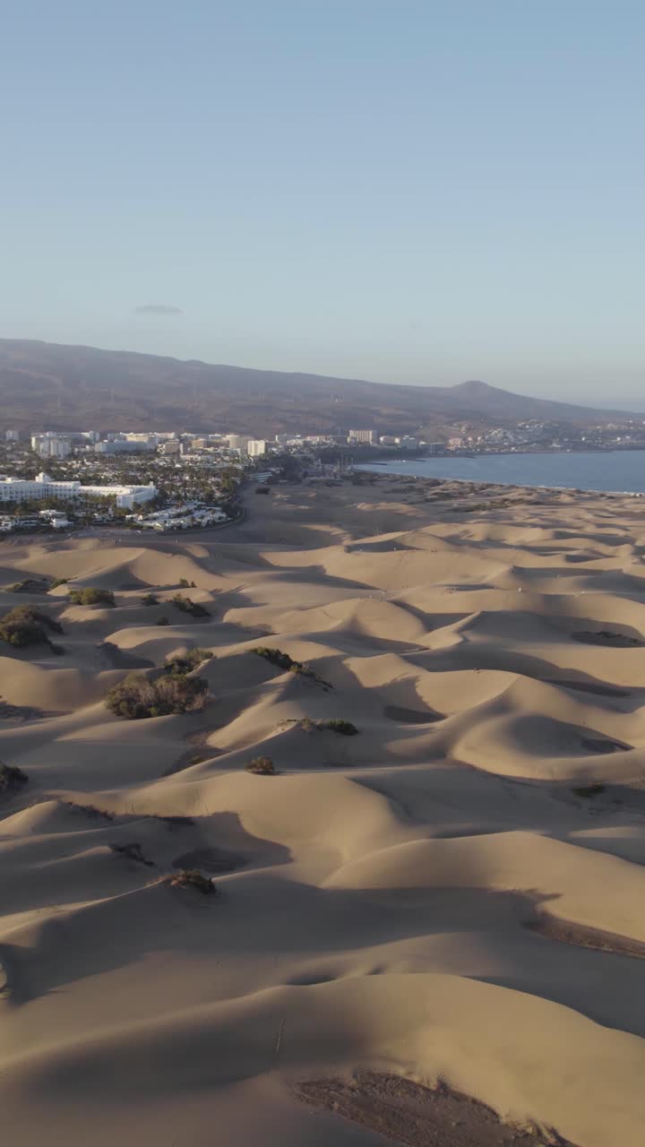 Maspalomas sand dunes stretching along the coast of Gran Canaria, Spain. Vertical aerial