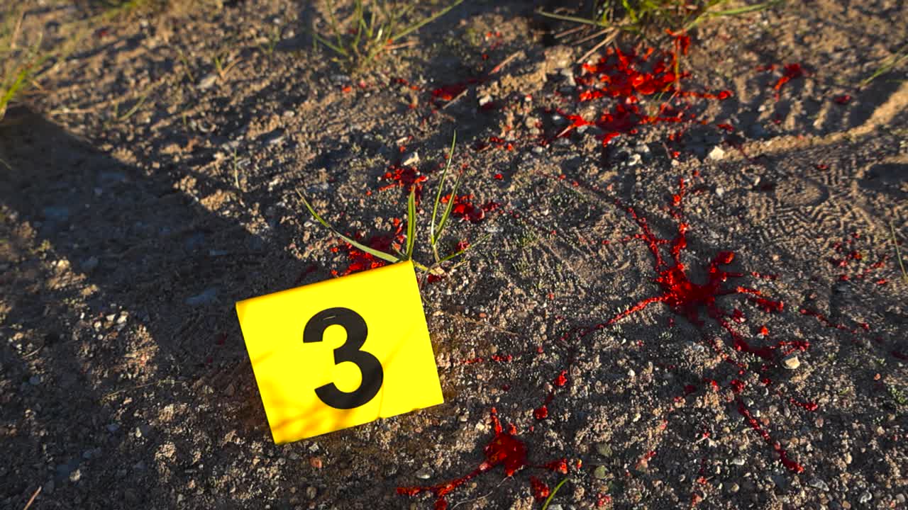 Low angle closeup glides around numbered crime scene evidence marker placed beside blood spatter on sunny sandy ground with shadows. Forensic card marks crime traces in the muddy sand road or field
