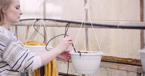 mujer que trabaja en la agricultura de invernadero