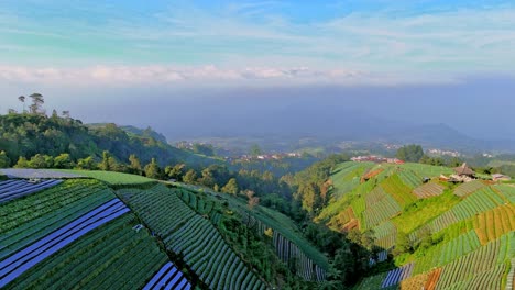 Wunderschöne-Bergplantagen-Und-Dörfer-Unten-In-Indonesien,-Luftaufnahme