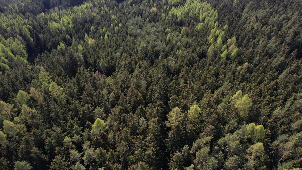 Volo sul paesaggio in una foresta primaverile nella Repubblica Ceca, Moravia.