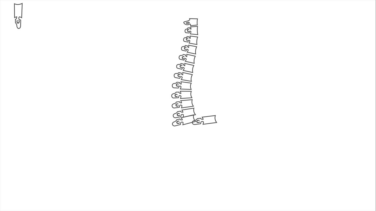 ilustración animada de la columna vertebral humana aislada en blanco, centrada en la vértebra de la columna