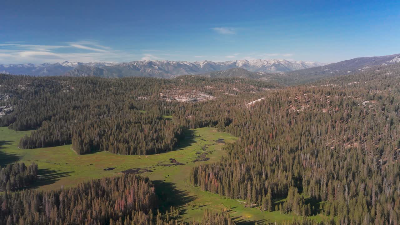 Sequoia National Park At Daytime In California, USA - Drone Shot