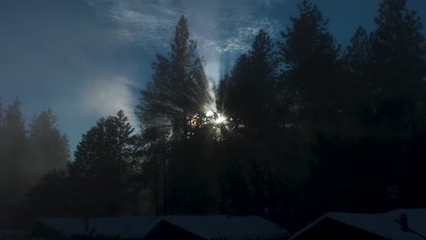 silhouette of evergreen trees with god rays moving through dense fog, blue sky, aerial footage