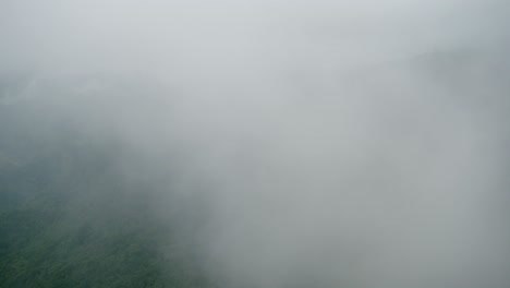 nature background with copy space of misty mist and clouds moving over a rainforest, jungle background aerial timelapse shot of clouds rolling in a valley, above the trees background