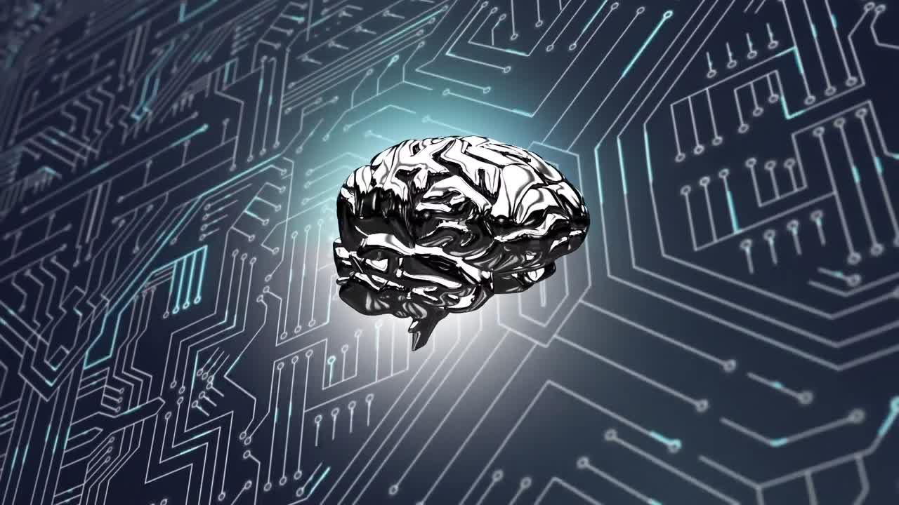 Brain and a digital circuit