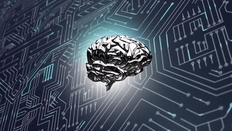 Brain-and-a-digital-circuit