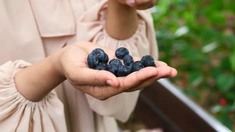 woman holding fresh blueberries