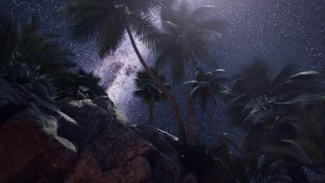 rutas estelares de hiperlapso de 4k sobre paredes y palmeras de cañones de piedra arenisca