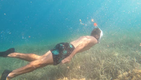 explore la impresionante vida marina de mljet, croacia, con este fascinante video de esnórquel bajo el agua al atardecer