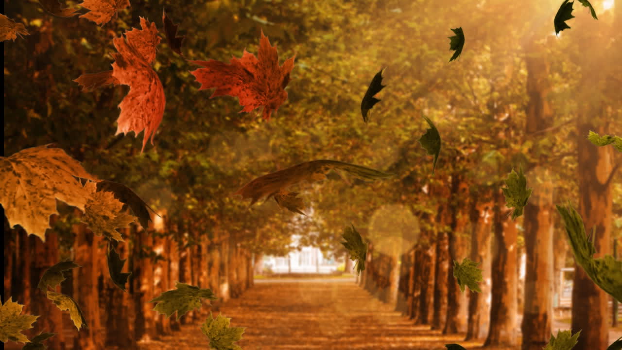 잎이 떨어지는 것