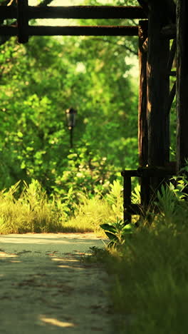 peaceful stroll through a lush green park