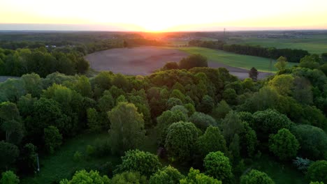 Panorama,-Blick-Auf-Den-Wald,-Getaucht-In-Die-Strahlen-Der-Aufgehenden-Sonne