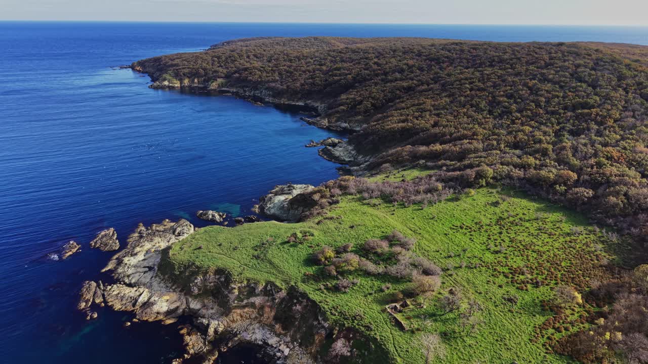 Coastal landscape with blue waters and lush greenery in aerial view