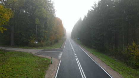 Flying-in-Misty-Forest-Past-Fork-in-the-Road,-Aerial-Drone-Shot