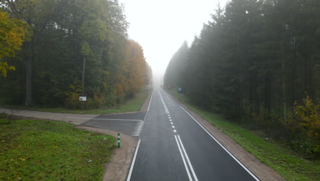 flying in misty forest past fork in the road, aerial drone shot