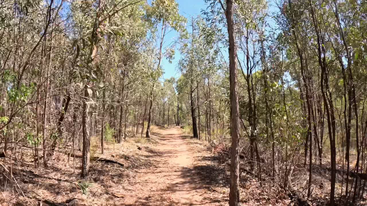 숲 속의 길을 따라 진행하는 것