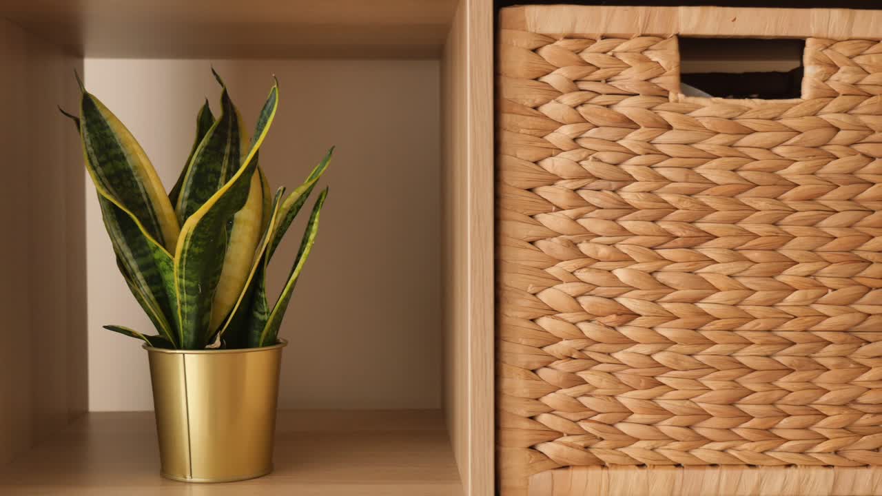 Sansevieria in vaso dorato accanto a un cesto di vimini su una mensola di legno