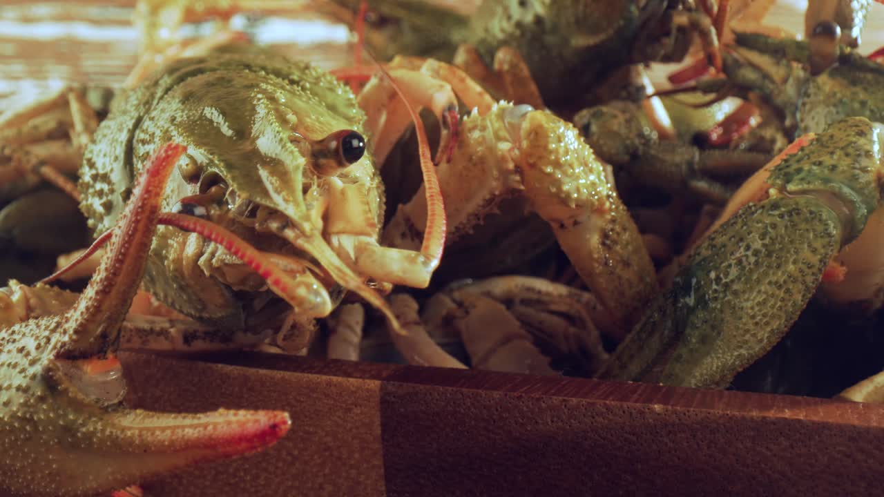 나무 테이블 위 에 있는 살아 있는 크레이프