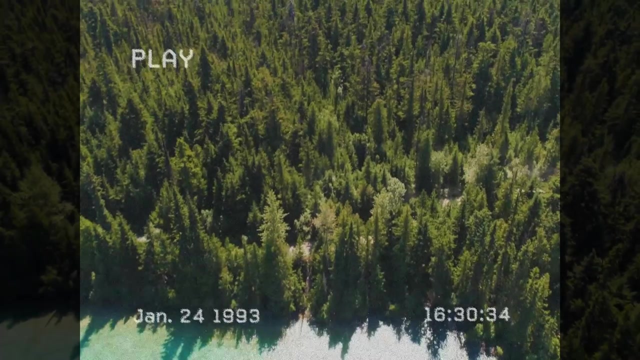 Avvio di "VHS PLAY", con il timestamp che scorre, la telecamera che si alza mostrando acqua verde che si trasforma in una volta arborea.
