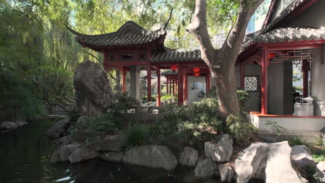 sydney's darling harbour chinese gardens