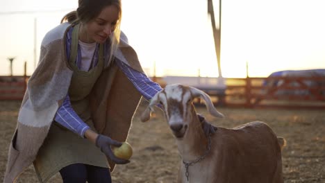 Young-blonde-woman-strokes-cute-yeanling-on-local-farm