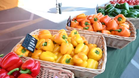 at the agriculture festival in the united arab emirates, locally grown bell peppers are showcased and offered for sale