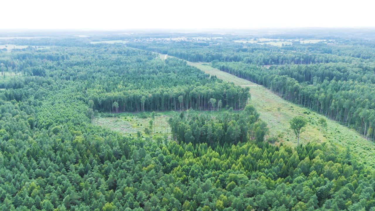 Cut forest line for railway project in Lithuania, aerial panoramic view