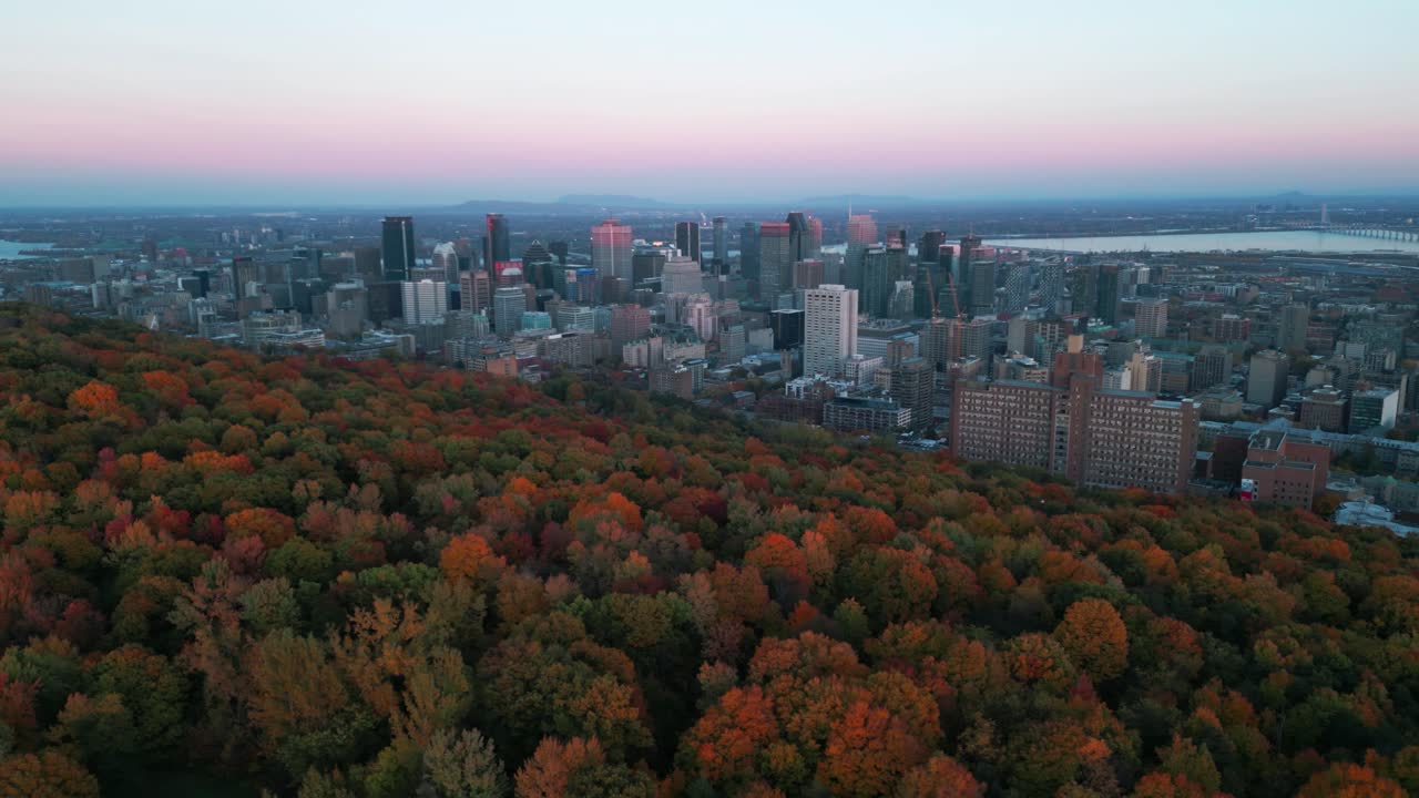 aerial shot over Montreal City at sunset during autumn from Mont royal Park with fall colors in the foreground and the city in the background