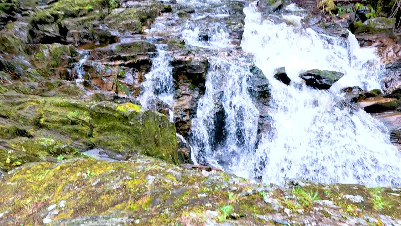 Cascading water over rocks in lush forest