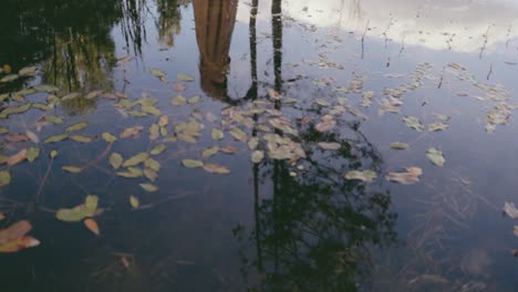 Reflection-of-a-woman-in-a-pond-dancing,-colour-graded,-slow-motion,-camera-moving